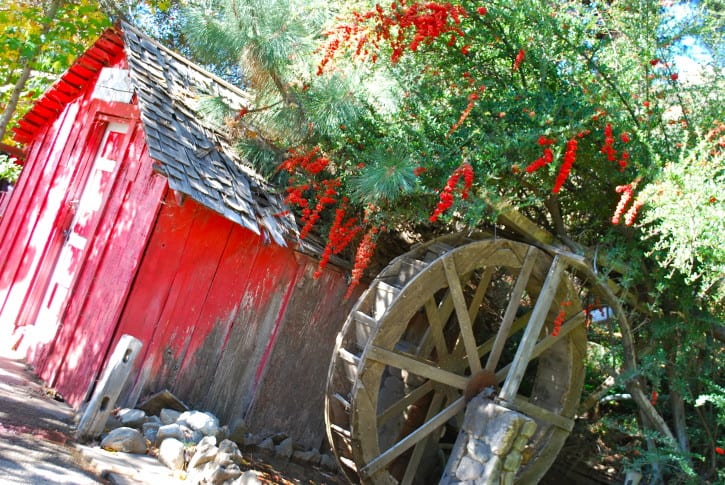 A Day with friends in Oak Glen