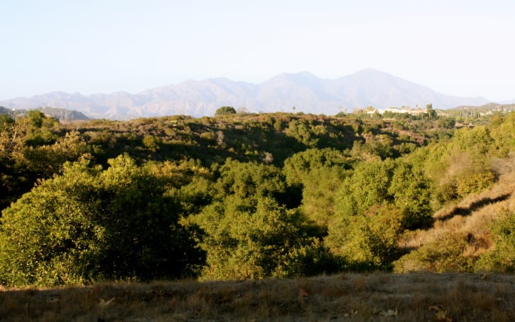 5 Favorite Walking Trails