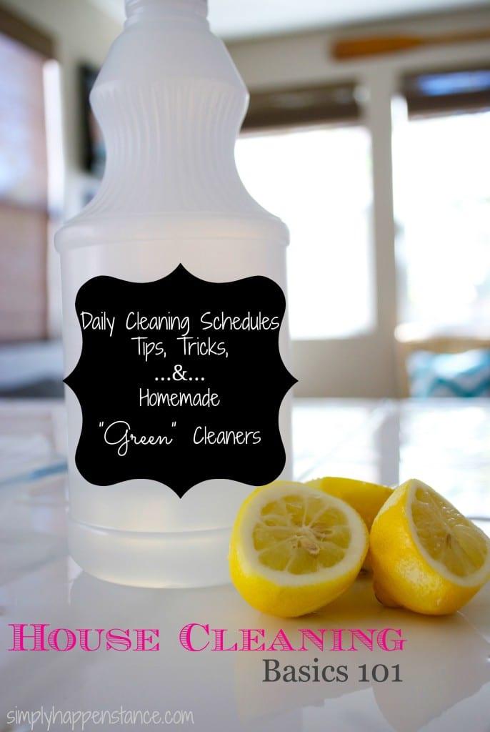 House Cleaning Basics 101