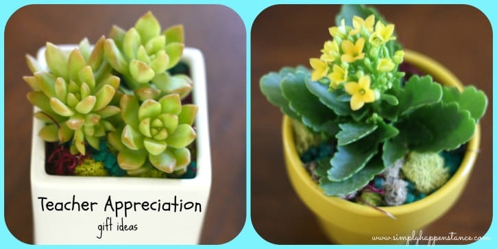 Gift Ideas for Teacher Appreciation