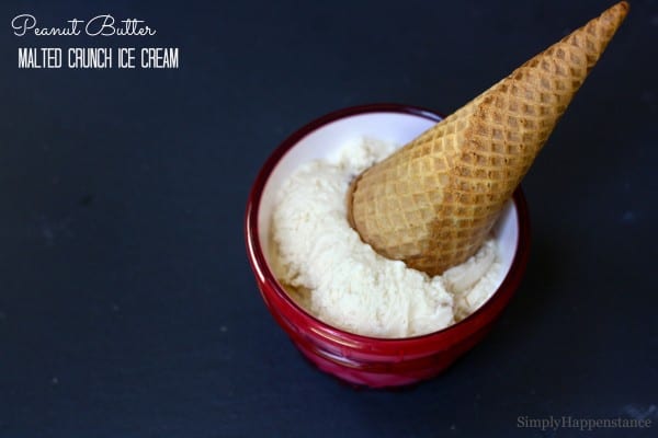 Peanut Butter Malted Crunch Ice Cream