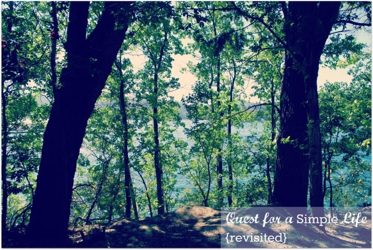 Quest for a Simple Life {revisited}