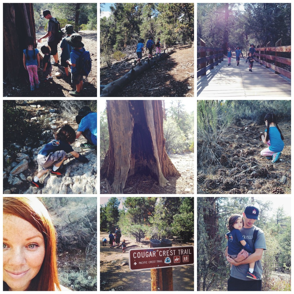 hiking in SoCal mountains