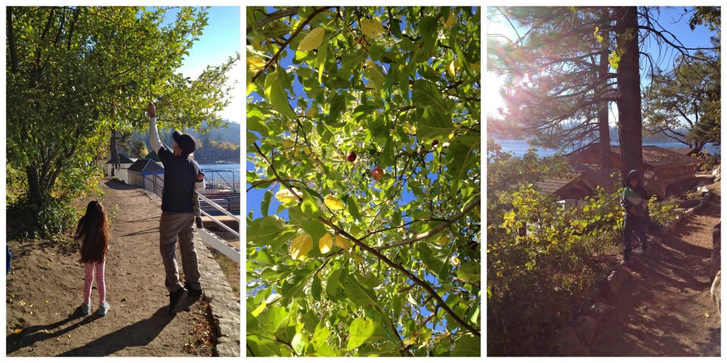 Images via Simply Happenstance 1