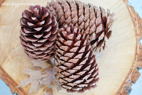 Pinecone Garland DIY {simply happenstance}