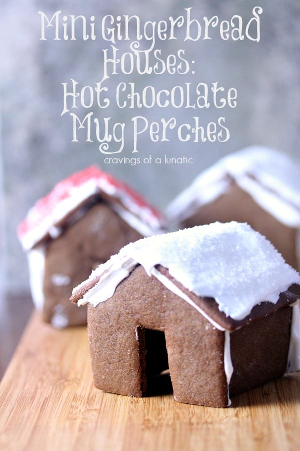 Mini-Gingerbread-House-Hot-Chocolate-Mug-Perches-1