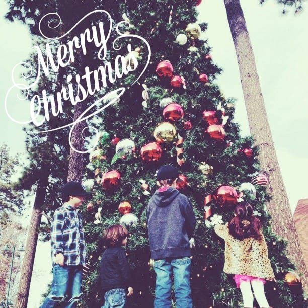 merry christmas {image via simply happenstance}