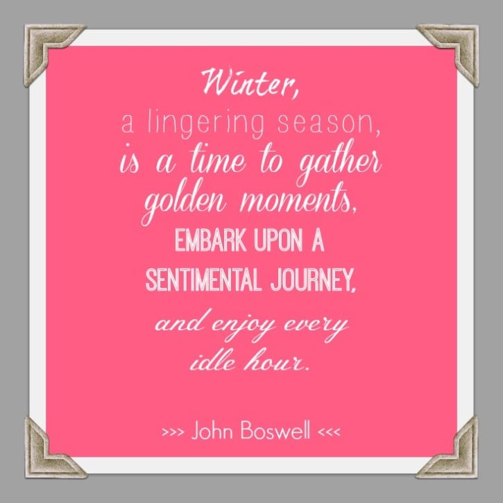 Weekend Lovelies {favorite things}