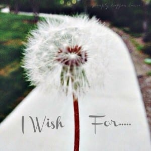 Wish Flower