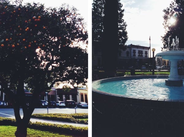 City of Orange, California {photos via Simply Happenstance} 8