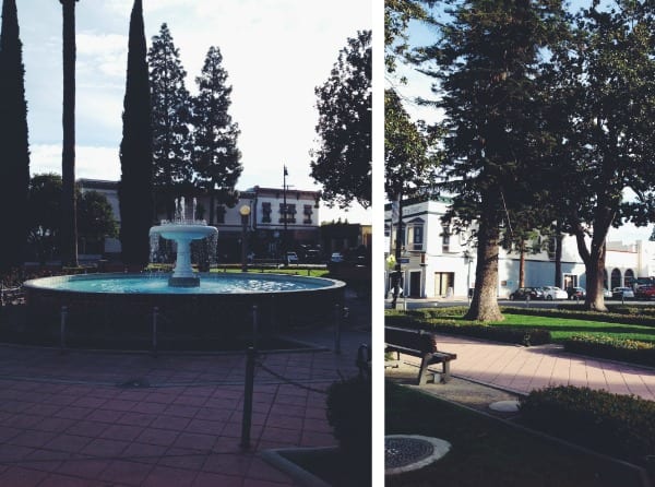 City of Orange, California {photos via Simply Happenstance} 9