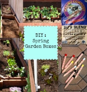 Spring Garden Boxes. Our DIY Garden Boxes updated with new Spring Plants. Organic gardening.