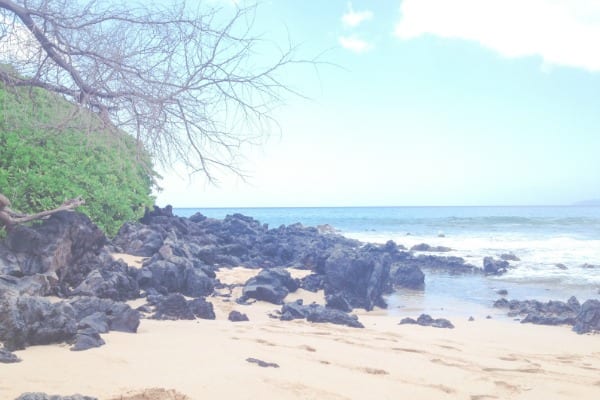 Maui Trip in Photos {via Simply Happenstance} 17