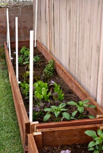 Spring Garden Boxes. Organic garden boxes. Easy DIY Garden Boxes