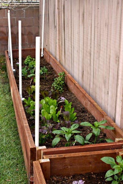 Spring Garden Boxes.  Organic garden boxes.  Easy DIY Garden Boxes