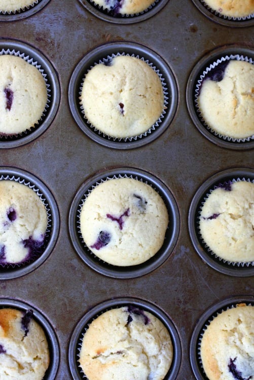 red white and blueberry cupcakes. perfect for the 4th of july.