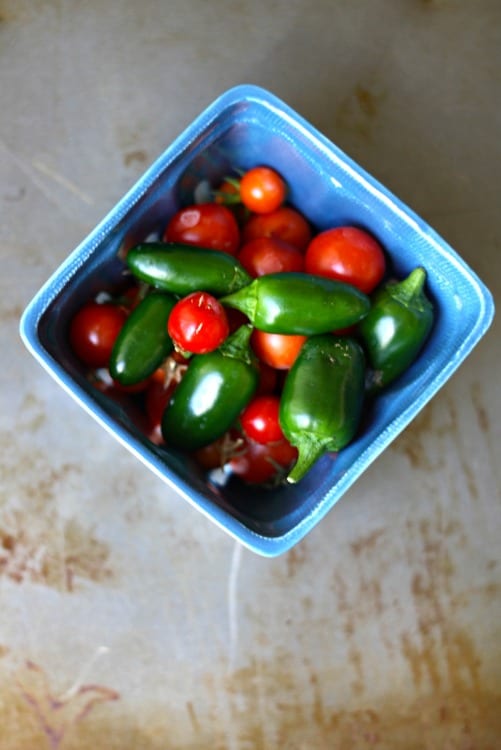 Fresh jalapeno and serrano peppers for Firehouse Salsa