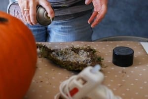 #DIY: Pumpkin Succulent Harvest Arrangement {tutorial via: simplyhappenstance.com}