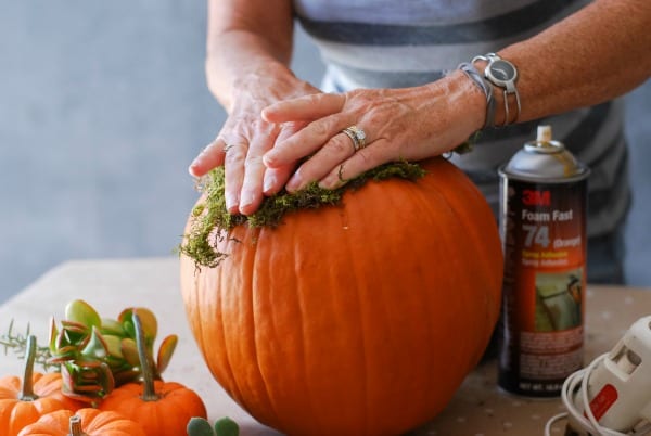 #DIY: Pumpkin Succulent Harvest Arrangement {tutorial via: simplyhappenstance.com}