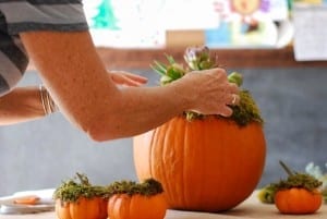 DIY Pumpkin Succulent Harvest Decoration {tutorial and photos on simplyhappenstance.com}
