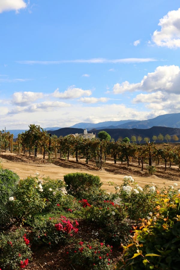 Leoness Winery overlooking the valley.