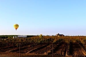 Lorimar Winery in Temecula. Lorimar Sleepover