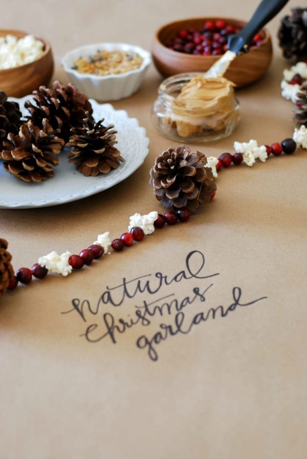 Natural Christmas Garland  DIY via Simply Happenstance-112