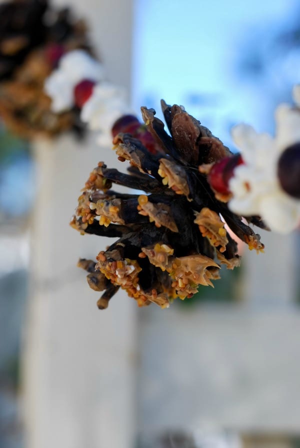 Natural Christmas Garland  DIY via Simply Happenstance-196