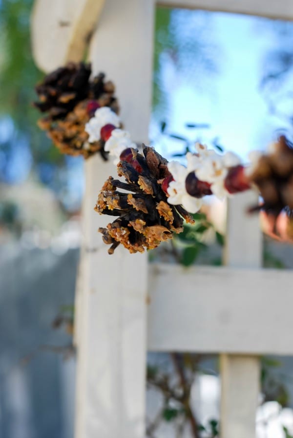 Natural Christmas Garland  DIY via Simply Happenstance-199