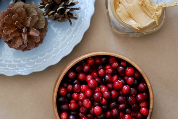 Natural Christmas Garland  DIY via Simply Happenstance-27