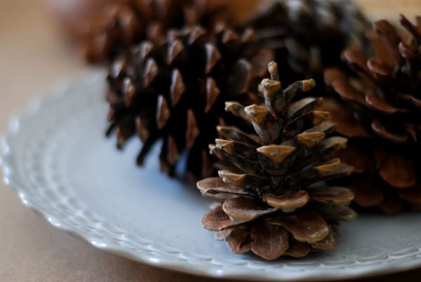 Natural Christmas Garland | Tutorial on simplyhappenstance.com