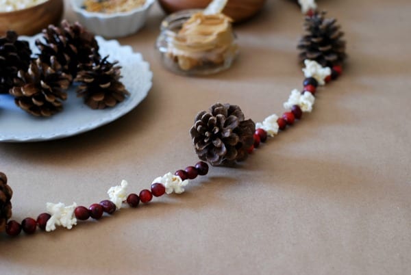 Natural Christmas Garland  DIY via Simply Happenstance-68