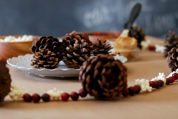 Natural Christmas Garland  DIY via Simply Happenstance-76