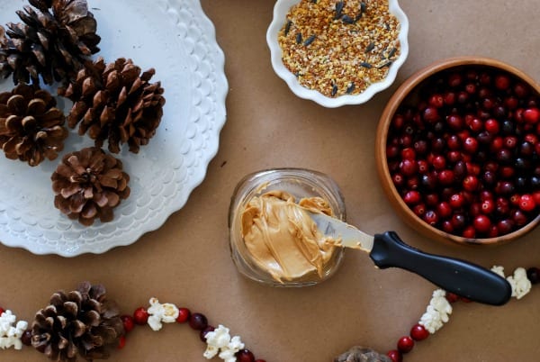 Natural Christmas Garland  DIY via Simply Happenstance-88