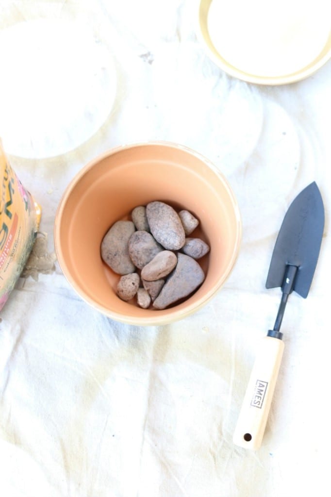 rocks for drainage for succulents