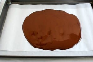 dark chocolate with roasted almonds, coconut and sea salt
