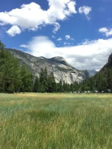 Yosemite in the summer.